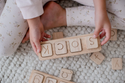 Picture Word Board CVC Word Builder