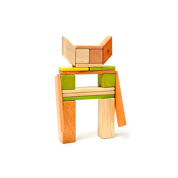 24-Piece Set Magnetic Wooden Blocks