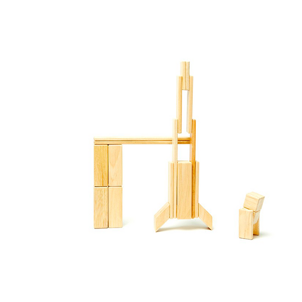 24-Piece Set Magnetic Wooden Blocks