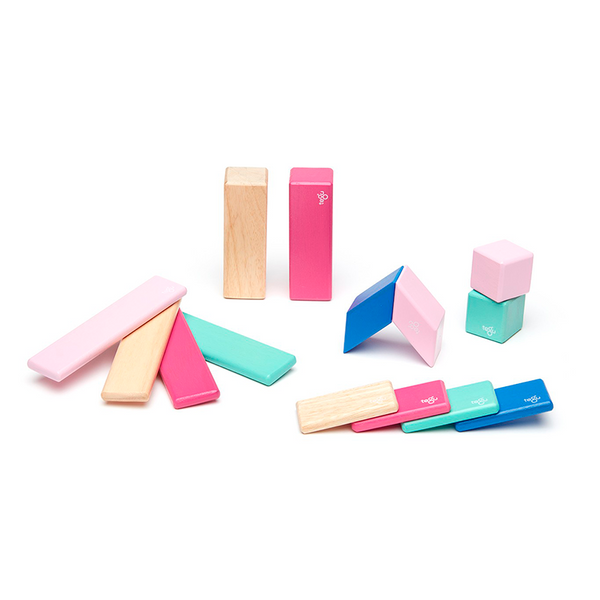 Magnetic Wooden Blocks 14-Piece Set