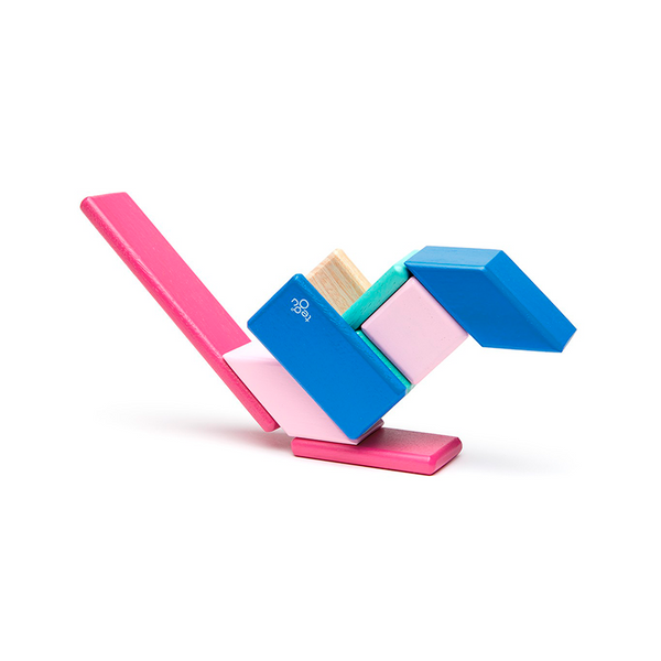 Magnetic Wooden Blocks 14-Piece Set