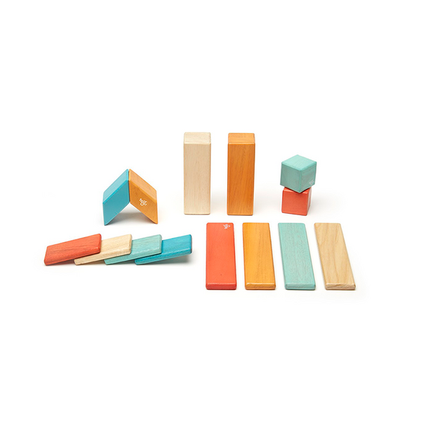 Magnetic Wooden Blocks 14-Piece Set
