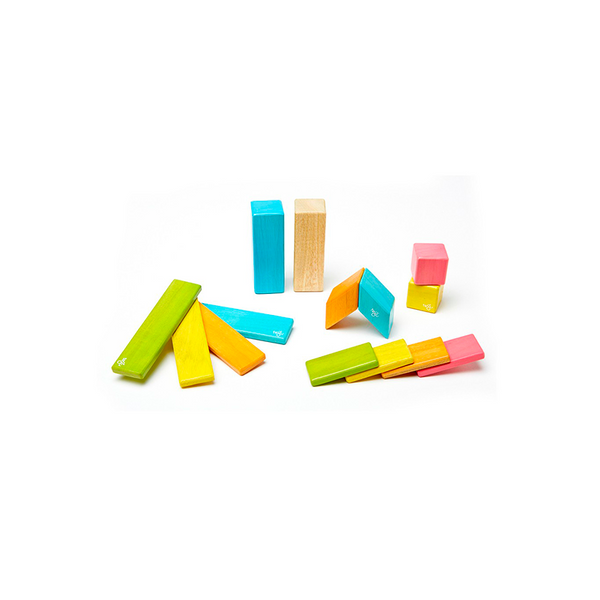 Magnetic Wooden Blocks 14-Piece Set