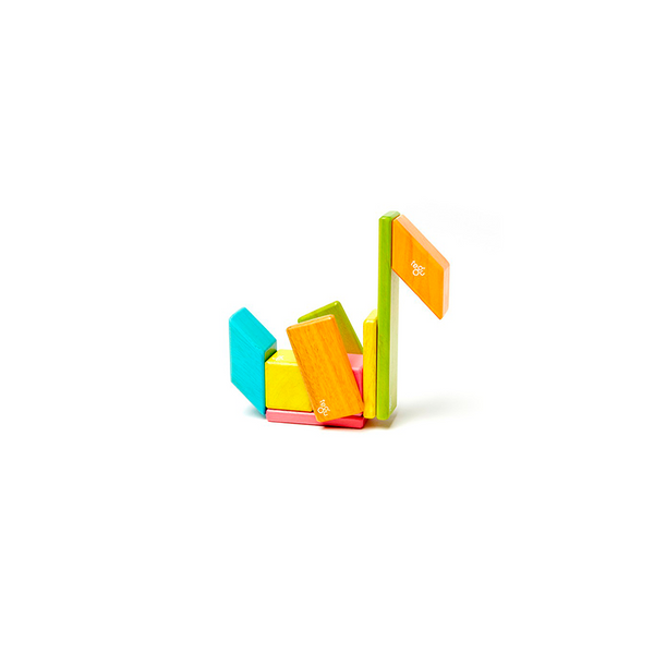 Magnetic Wooden Blocks 14-Piece Set