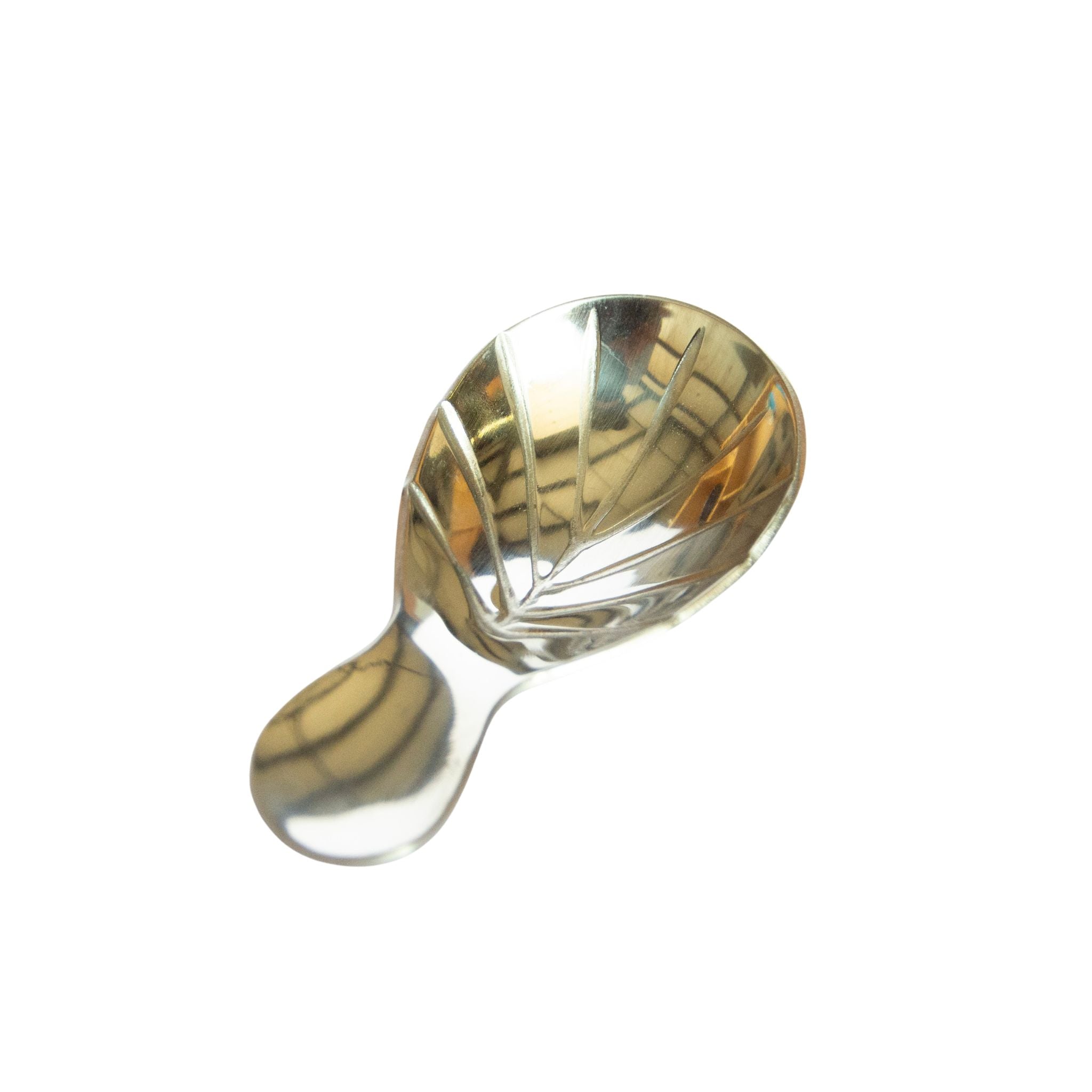 Scoop: Stainless Steel Scallop