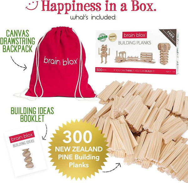 Building Blocks: Brain Blox Building Planks - 300 Pieces