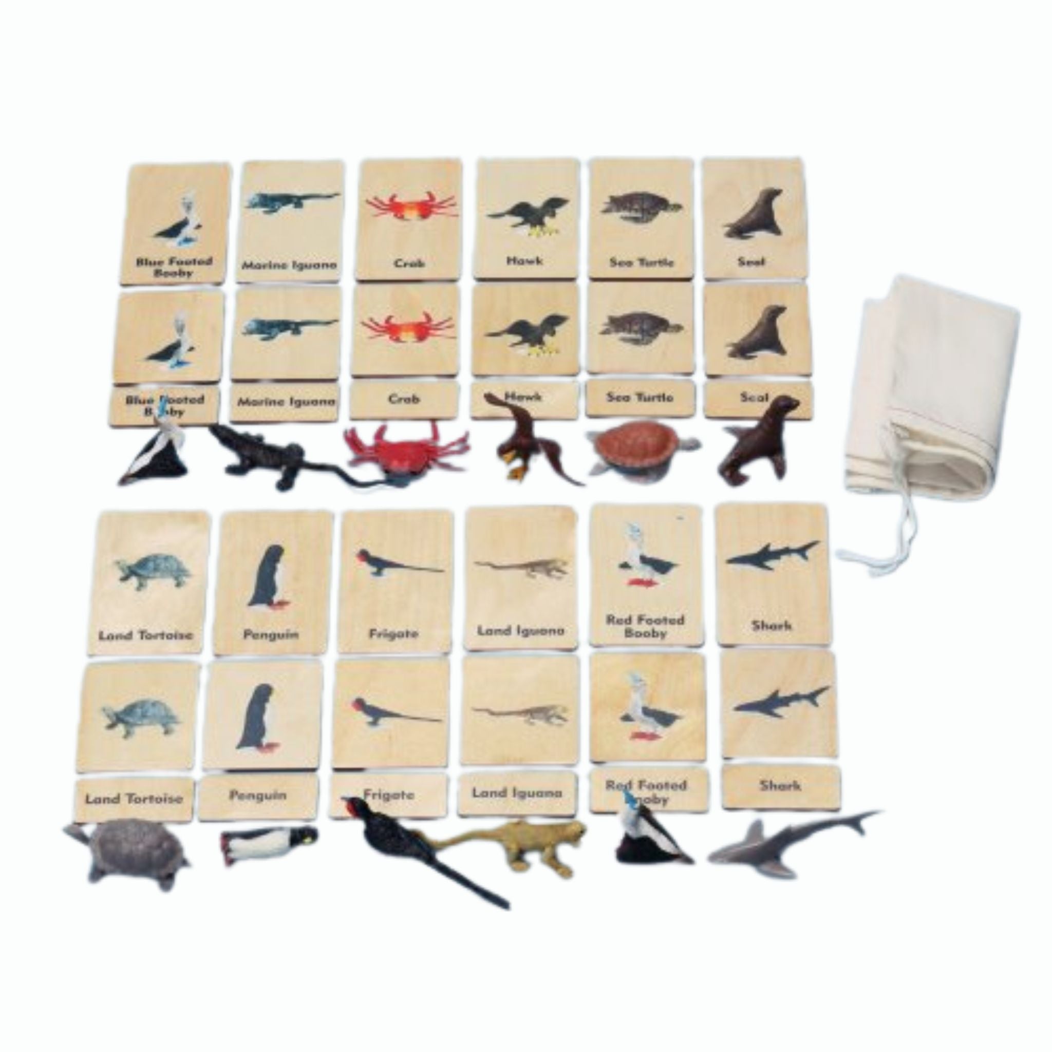 Continent 3-Part Wood Tiles & Replicas: Galapagos Animal Exploration