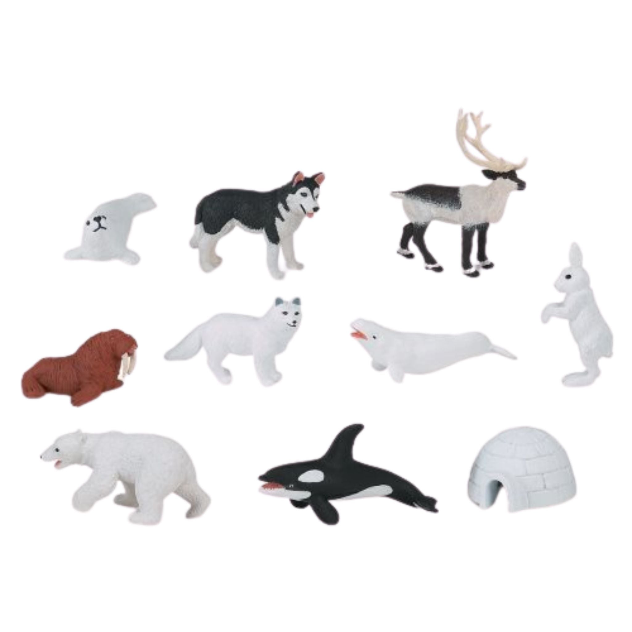 Continent Animal Miniatures: Polar/Arctic Miniature Replicas