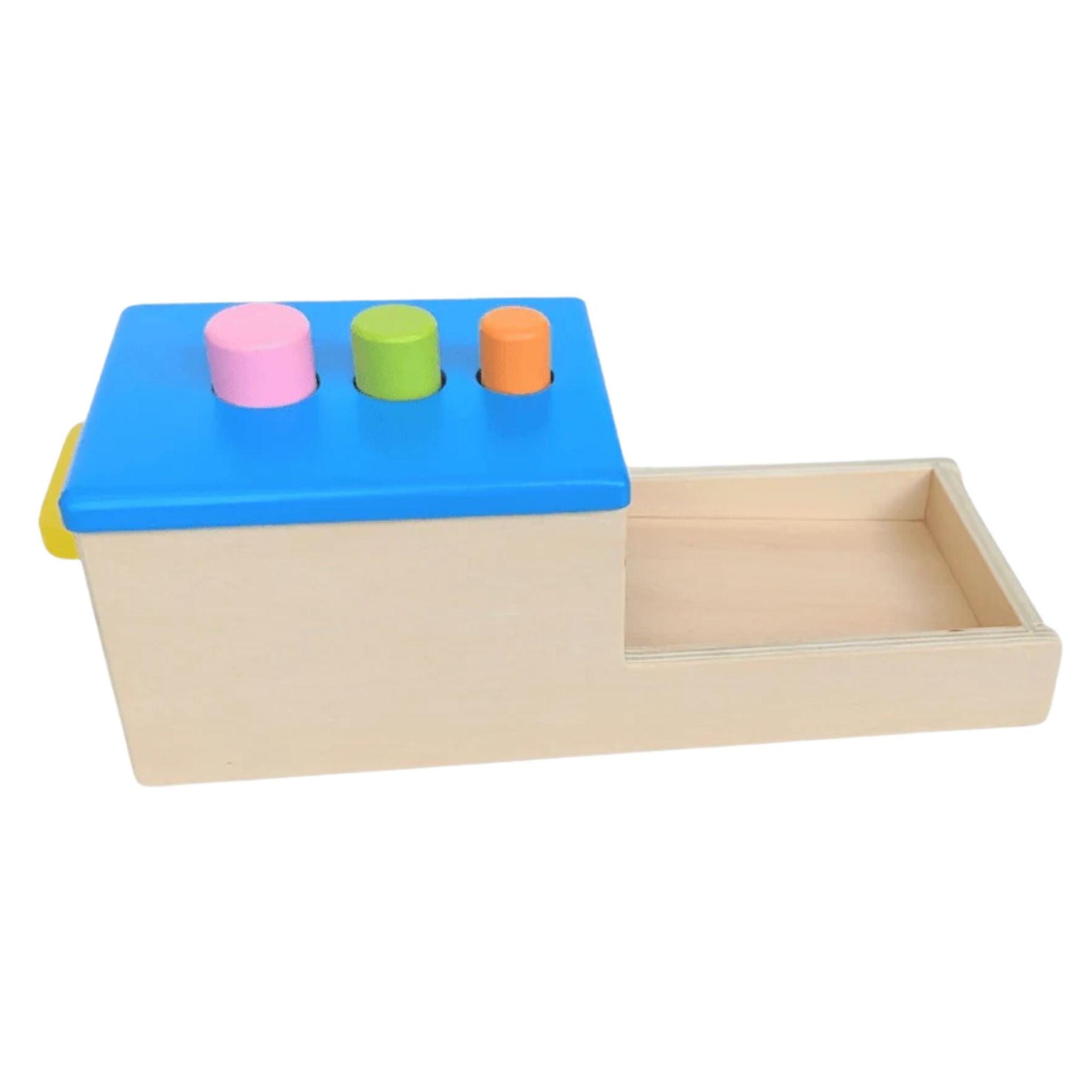 Permanence Box with Lid and Cylinders