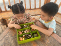 Nature's Sorting Box