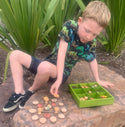 Nature's Sorting Box