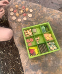 Nature's Sorting Box