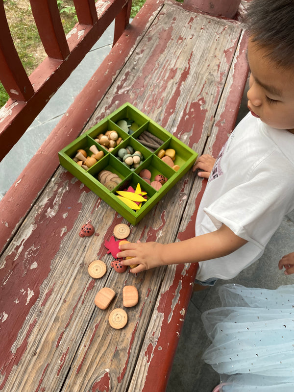 Nature's Sorting Box