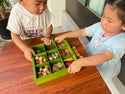Nature's Sorting Box