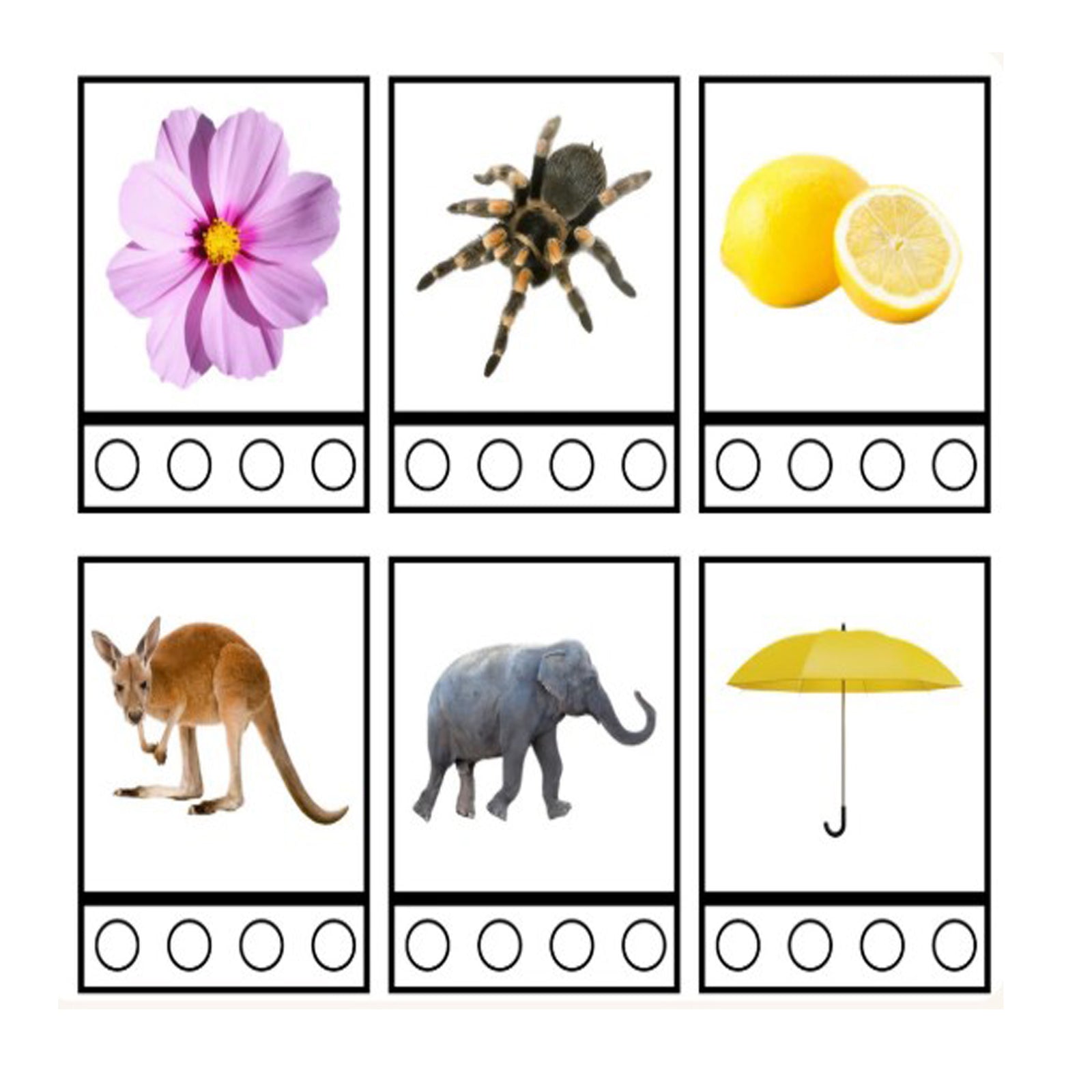 Collection feature image