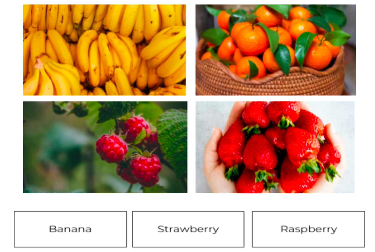 Who Am I Printable Fruits and Vegetables