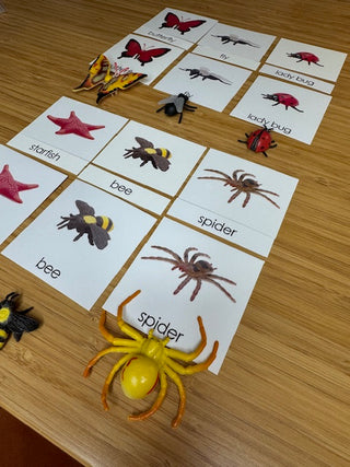 Classification Science: Invertebrates 3-Part Cards With Objects 