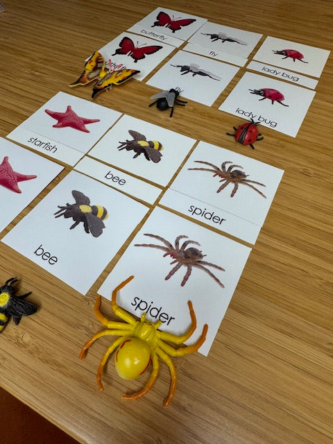Classification Science: Invertebrates 3-Part Cards With Objects
