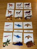 Classification Science: Vertebrates 3-Part Cards with Objects
