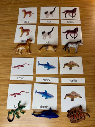 Classification Science: Vertebrates 3-Part Cards with Objects 