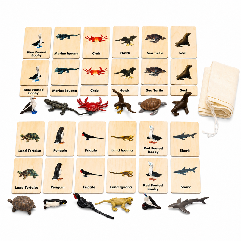 Continent 3-Part Wood Tiles & Replicas: Galapagos Animal Exploration