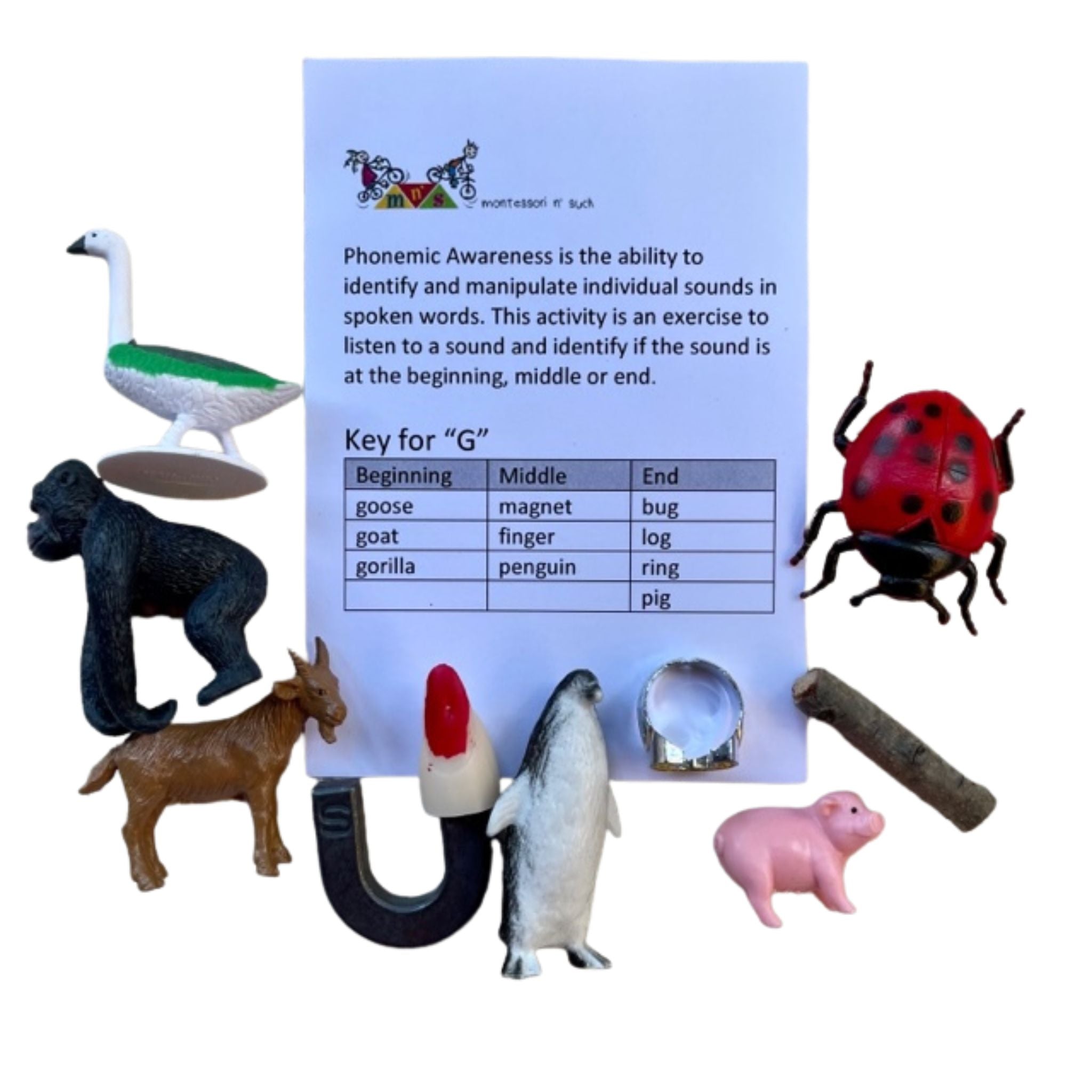 Phonemic Awareness_ Articulation Kit: Objects and Laminated Letters for Forming Sounds