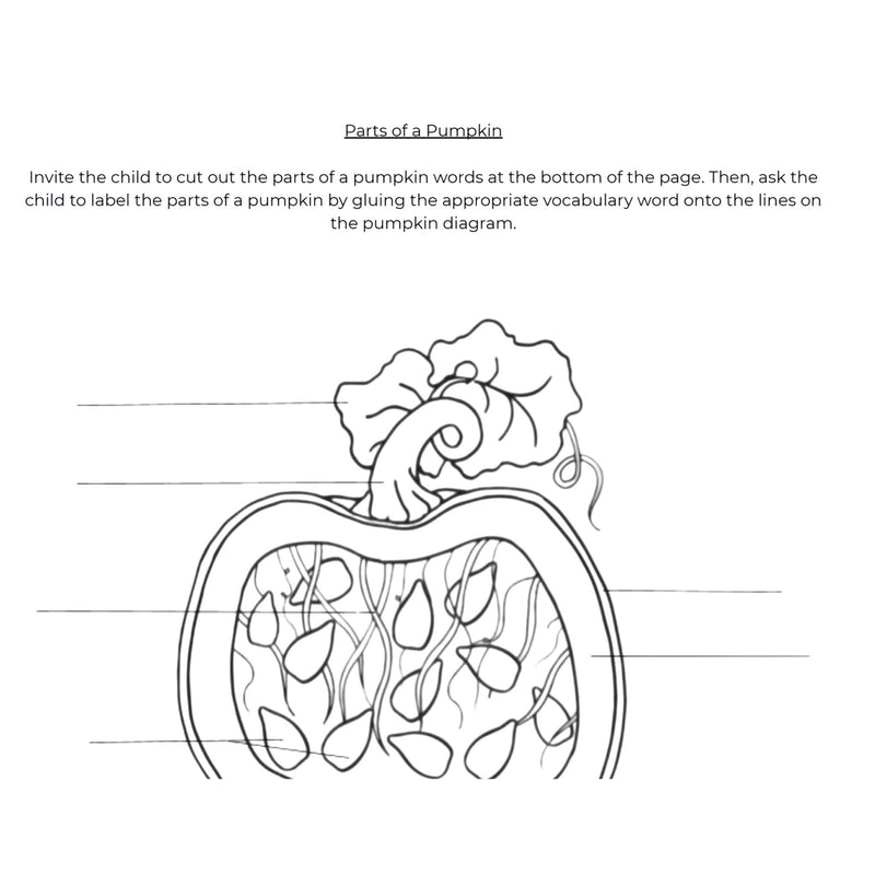 Parts of a Pumpkin