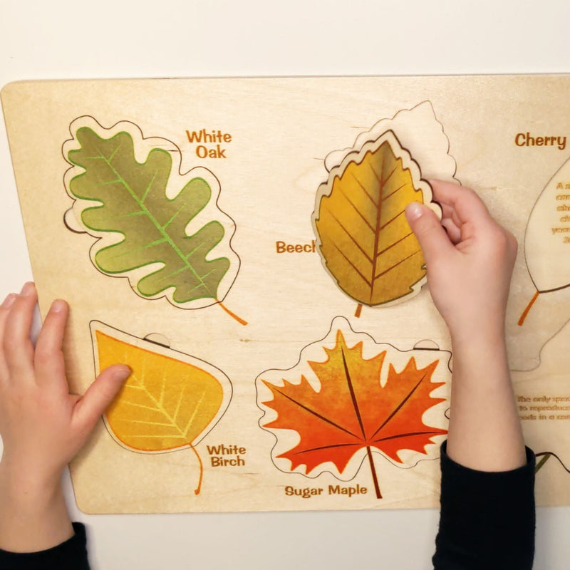 True to Life Leaves Wood Puzzle