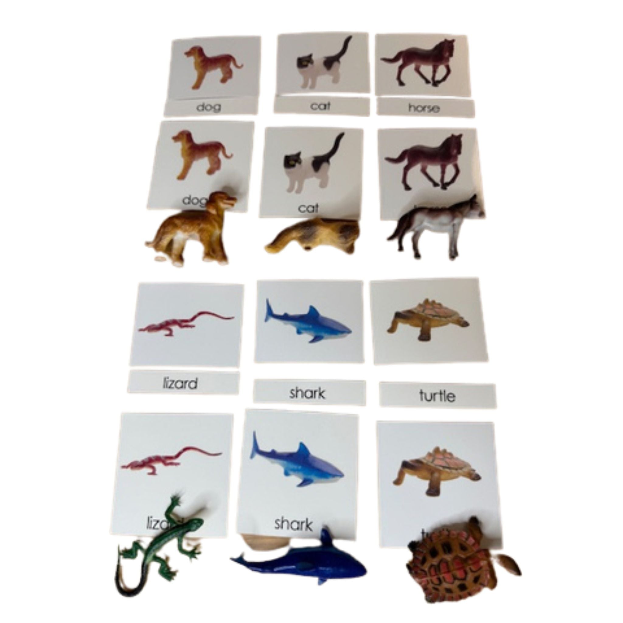 Classification Science: Vertebrates 3-Part Cards with Objects