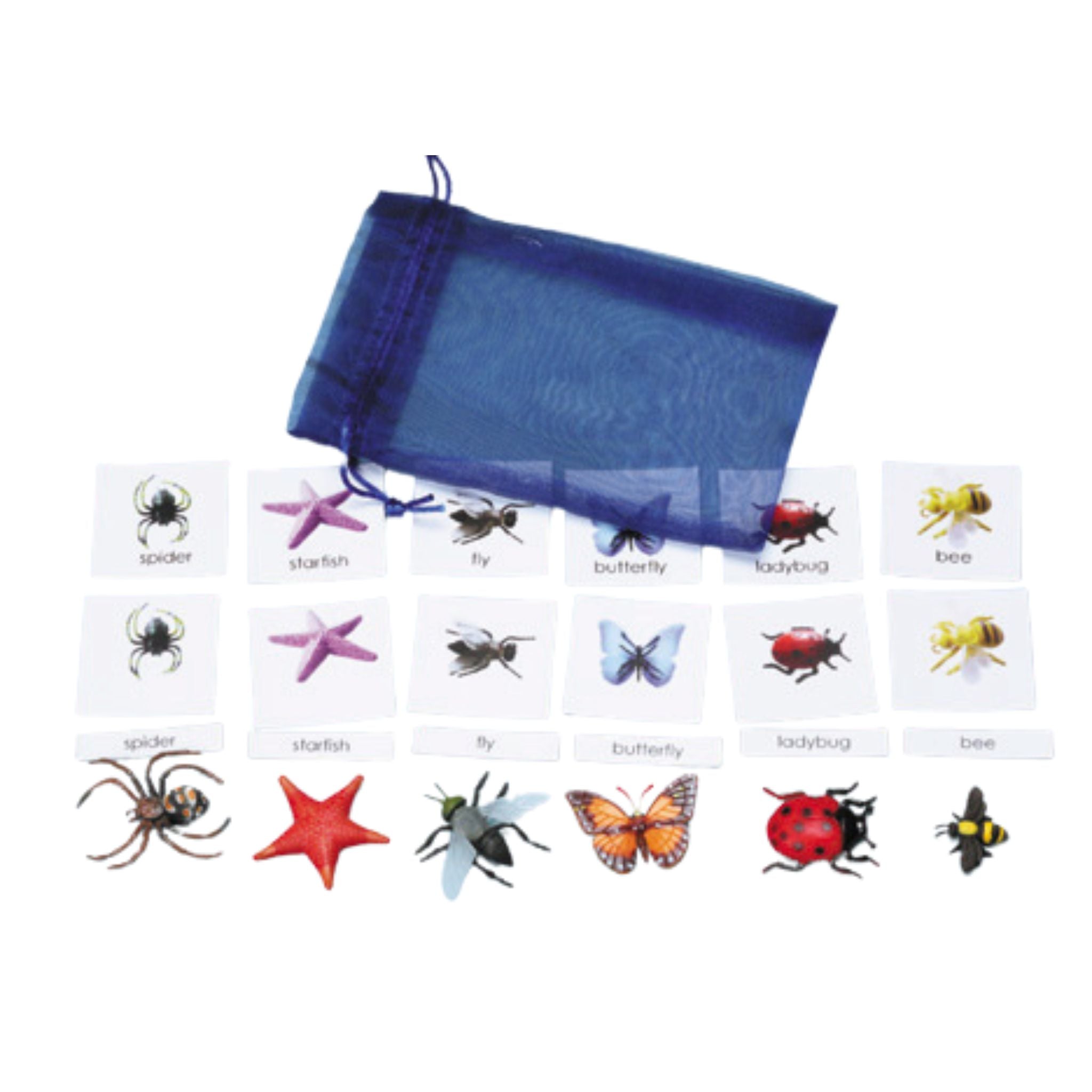 Classification Science: Invertebrates 3-Part Cards With Objects