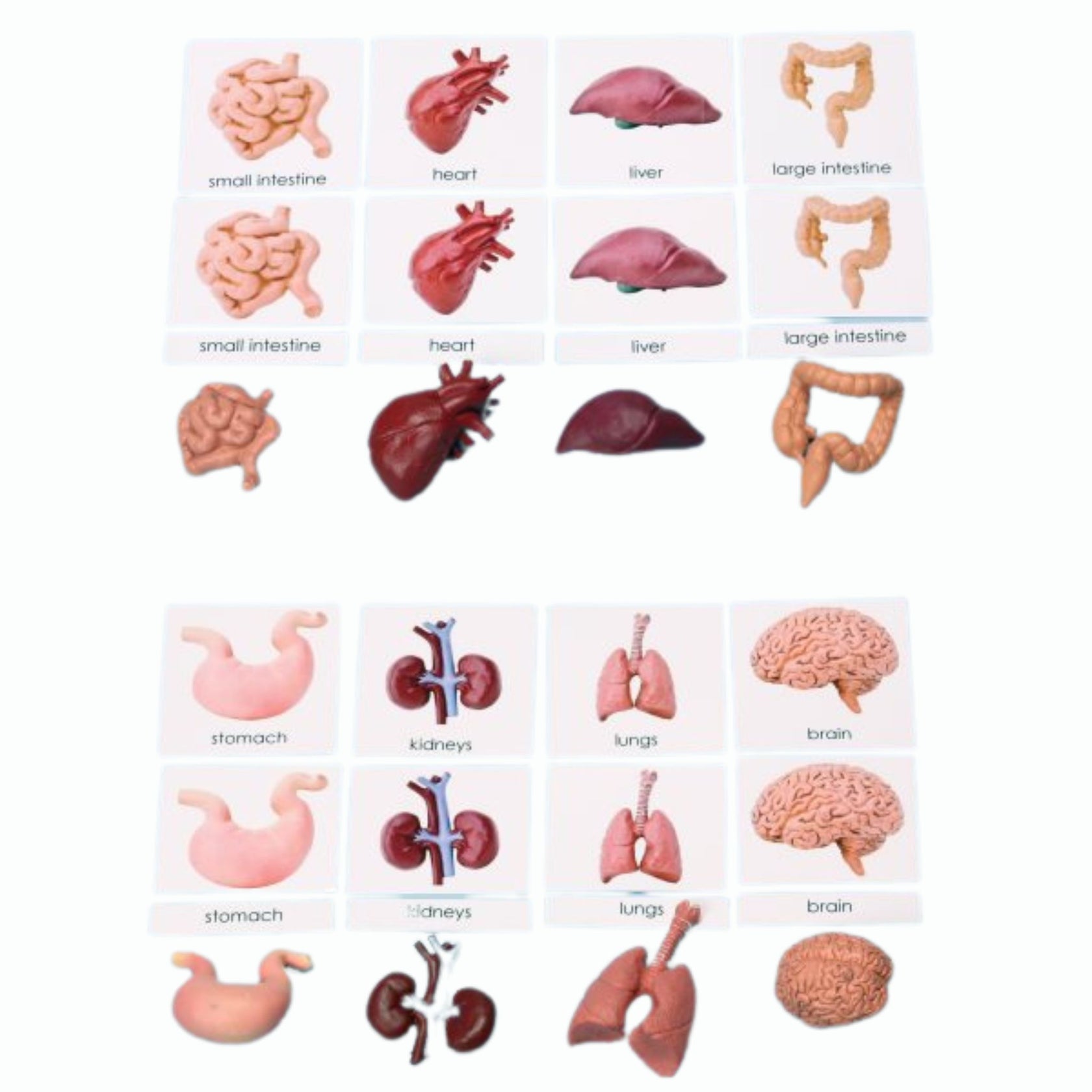 Image banner