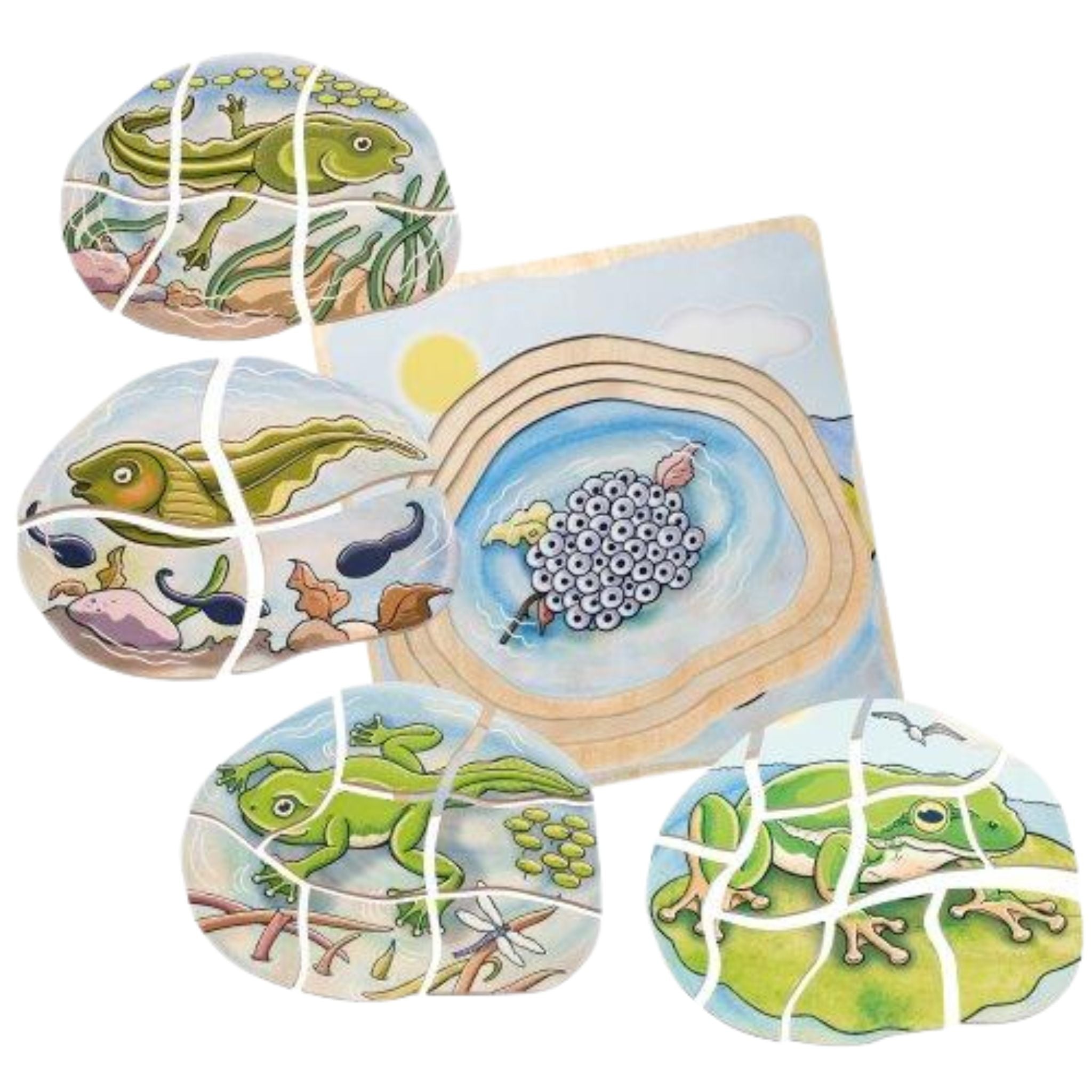 Multi-Layer Nesting Wood Puzzle: Egg to Frog 5-Layer