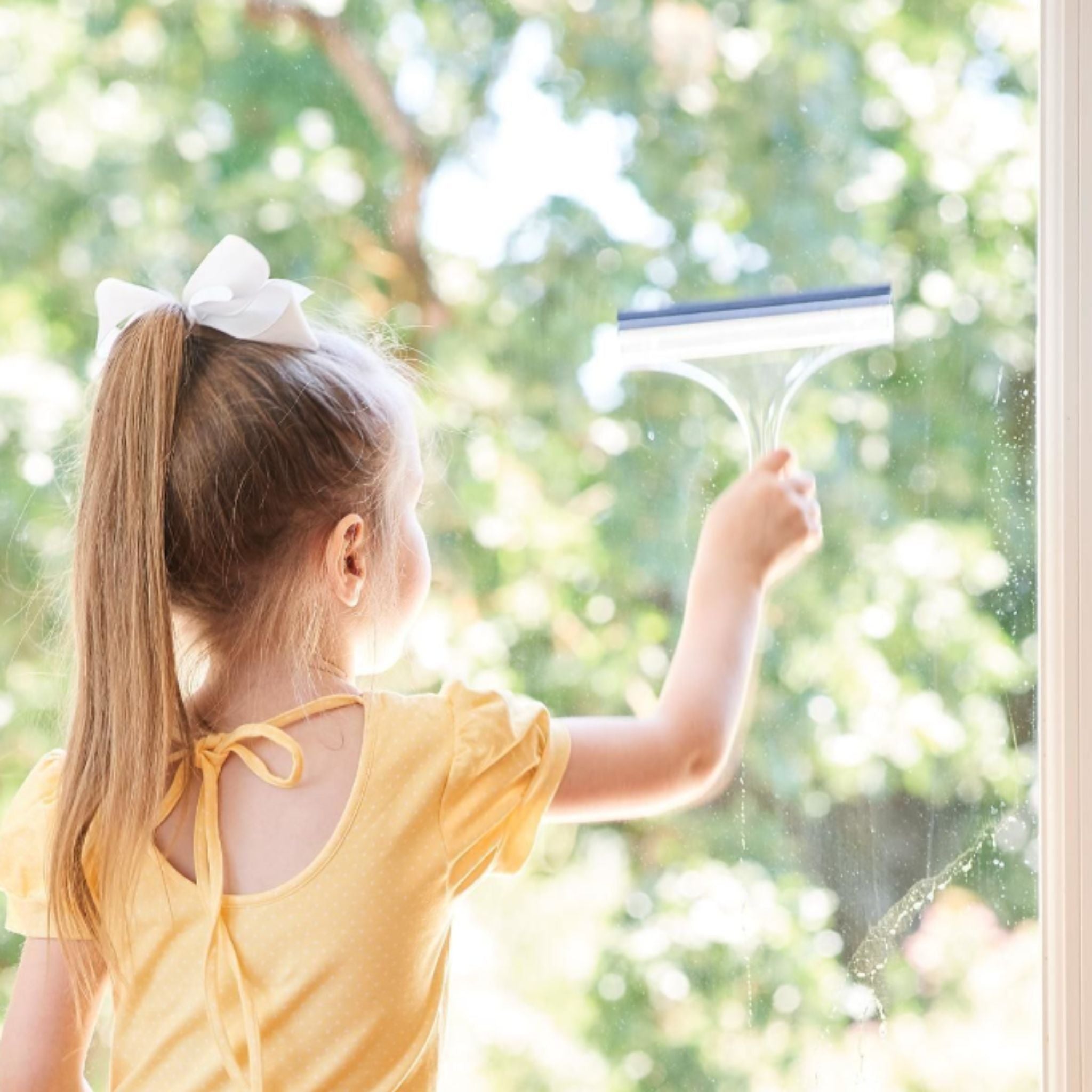 Cleaning:  Acrylic Squeegee