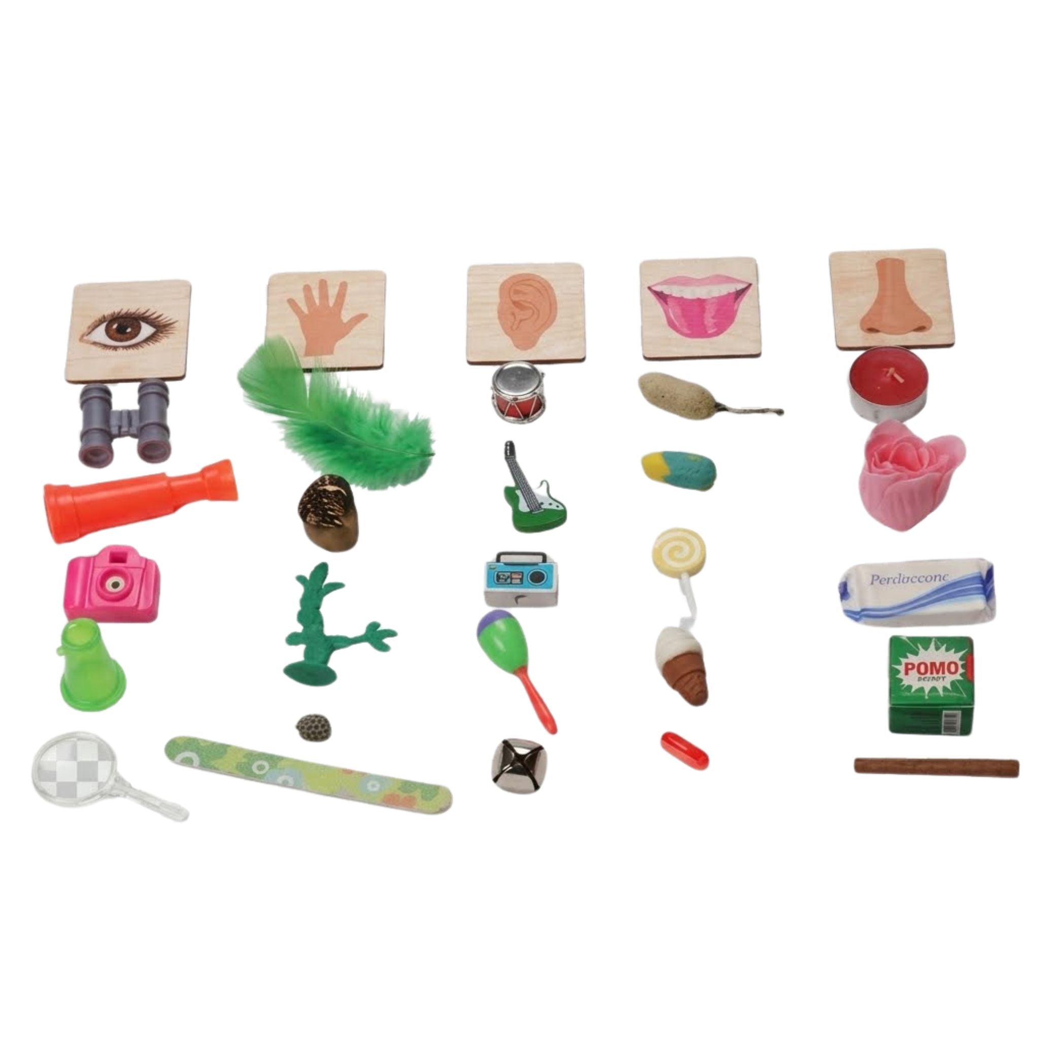 Sensory Classification: 5 Senses Objects & Wood Sorting Labels Kit