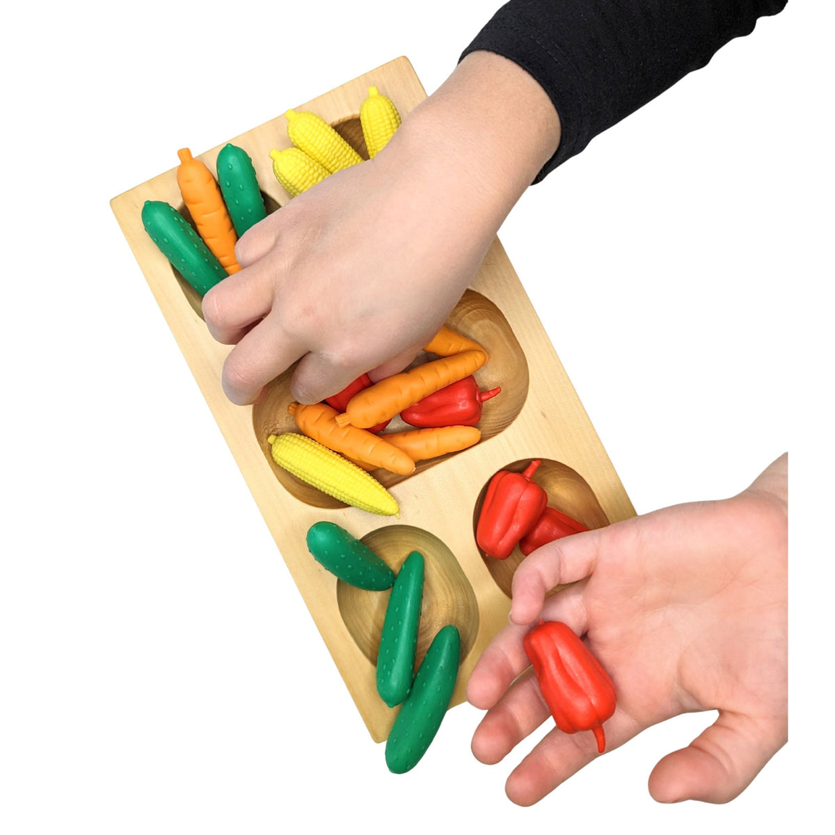 Sorting: Veggie 4-Compartment Kit