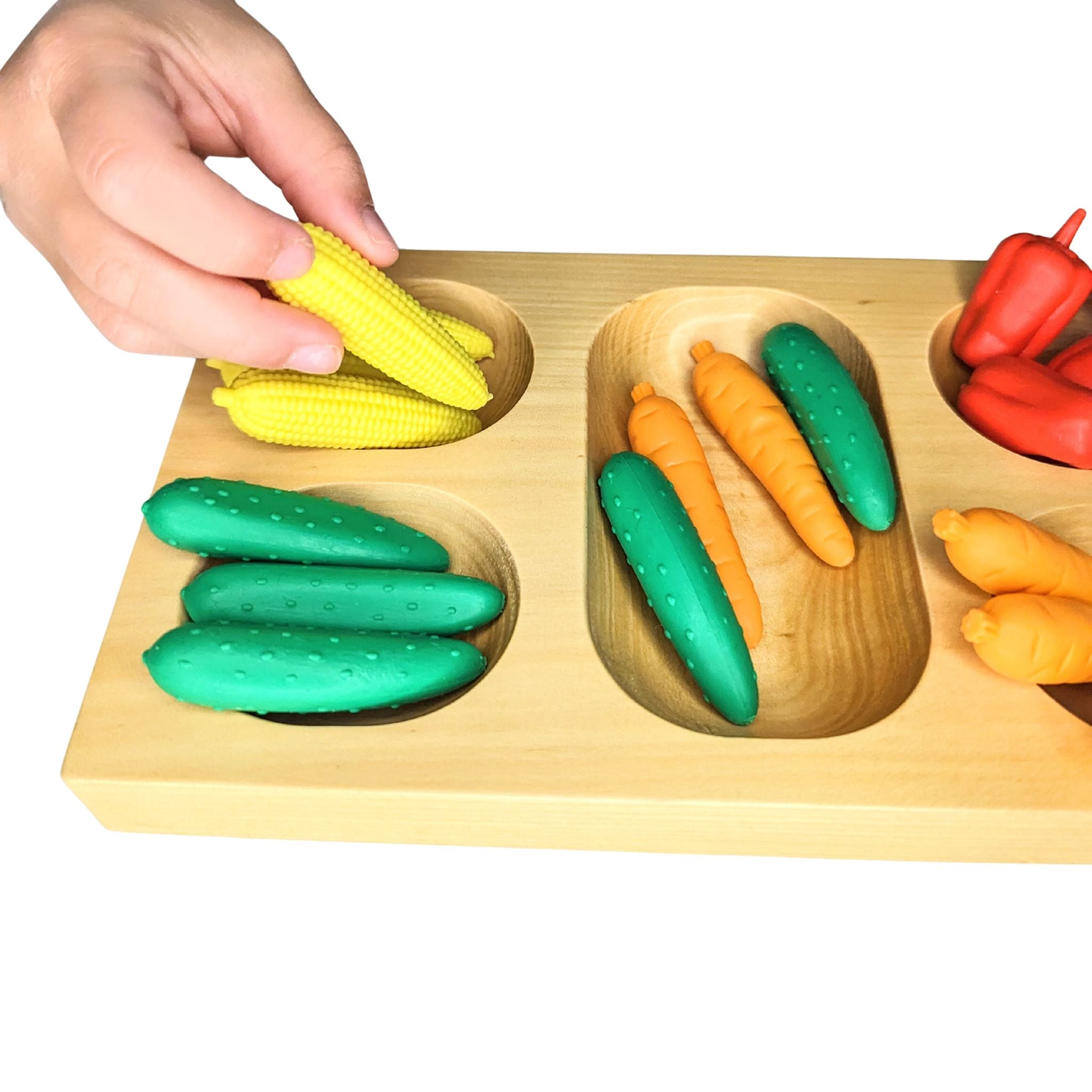 Sorting: Veggie 4-Compartment Kit