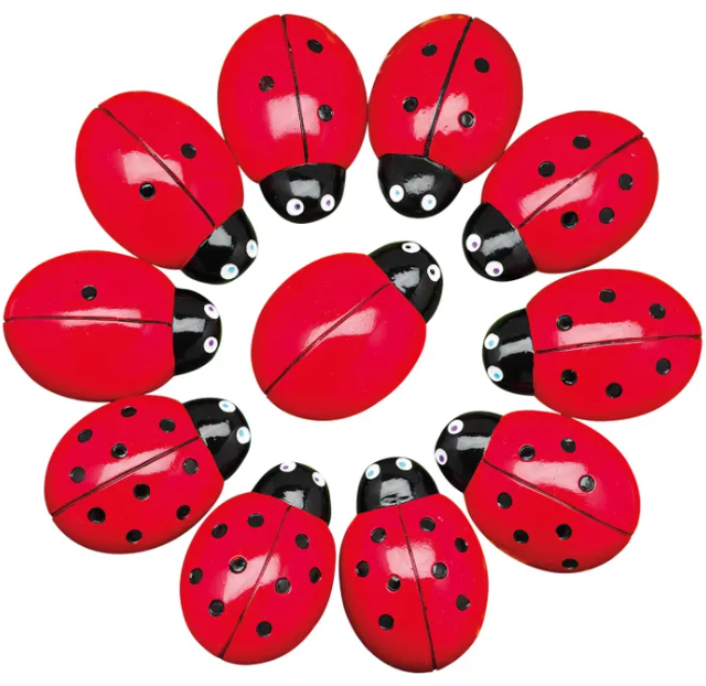 0-10 Tactile Ladybugs Stones Set/22