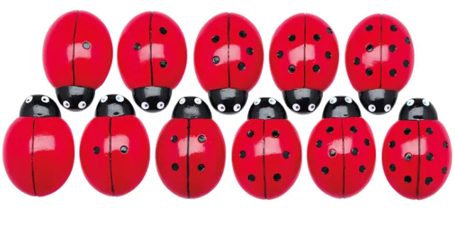 0-10 Tactile Ladybugs Stones Set/22
