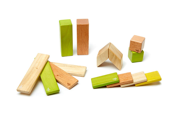 Magnetic Wooden Blocks 14-Piece Set