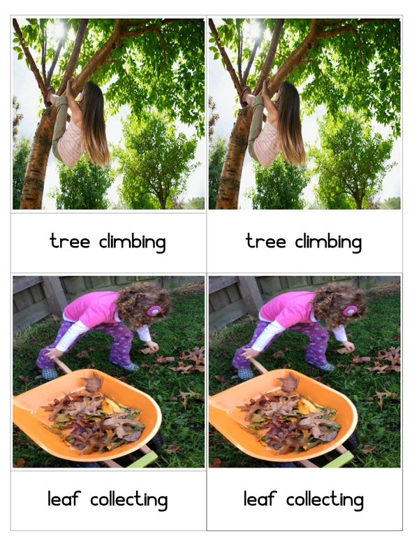 Tree Activities: Three Part Cards