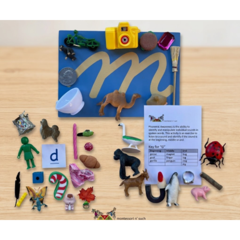 Phonemic Awareness_ Articulation Kit: Objects and Laminated Letters for Forming Sounds