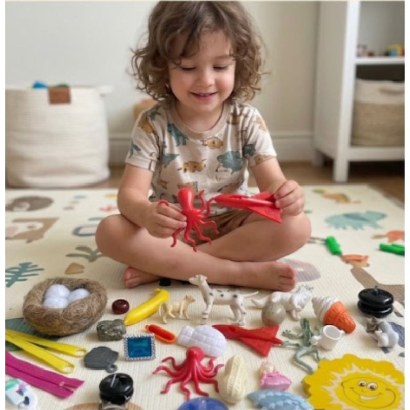 A-Z Language Objects Kits Sets 1 & 2