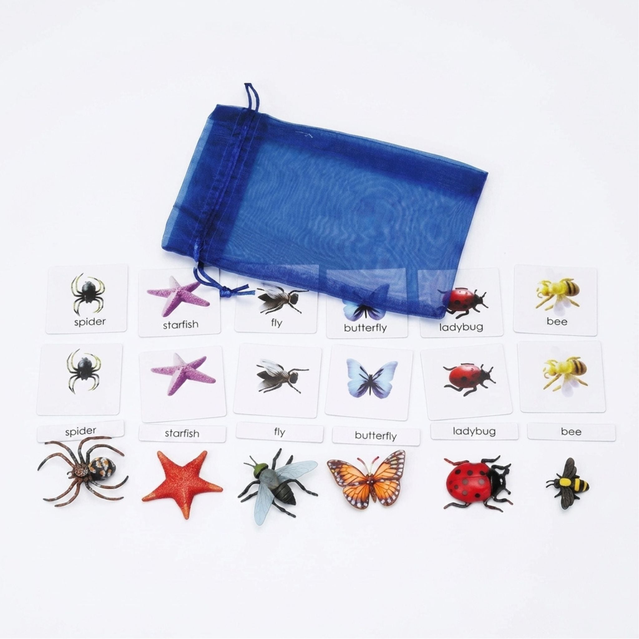 Classification Science: Invertebrates 3-Part Cards With Objects