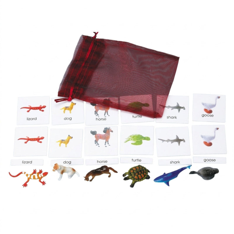 Classification Science: Vertebrates 3-Part Cards with Objects