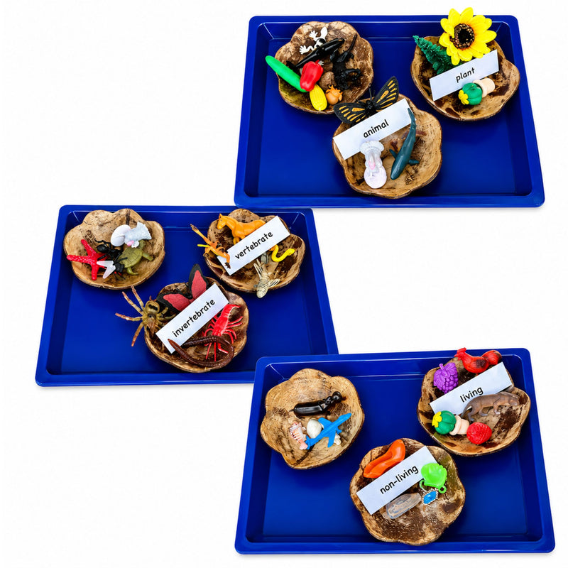 Classification Science: All 3: Living/Non-Living, Plant/Animal, Vertebrate/Invertebrate
