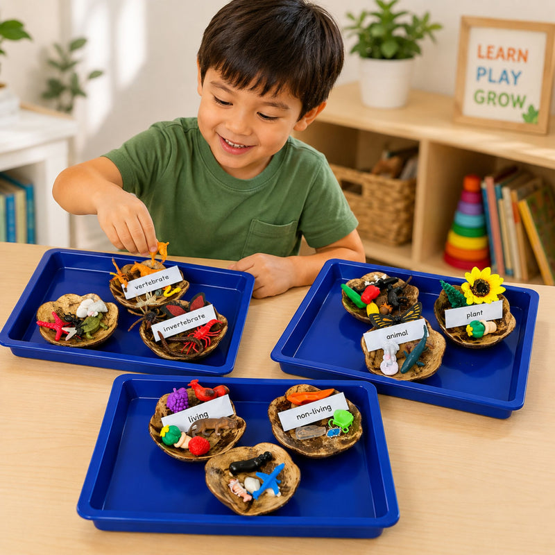 Classification Science: All 3: Living/Non-Living, Plant/Animal, Vertebrate/Invertebrate