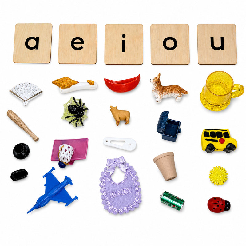Consonant-Vowel-Consonant (CVC) Short Vowel Word Practice Set