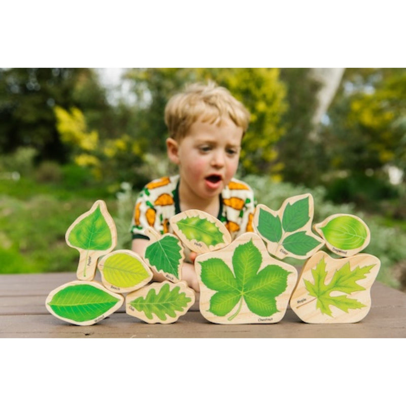 Stacking Leaves; Leaf Identification