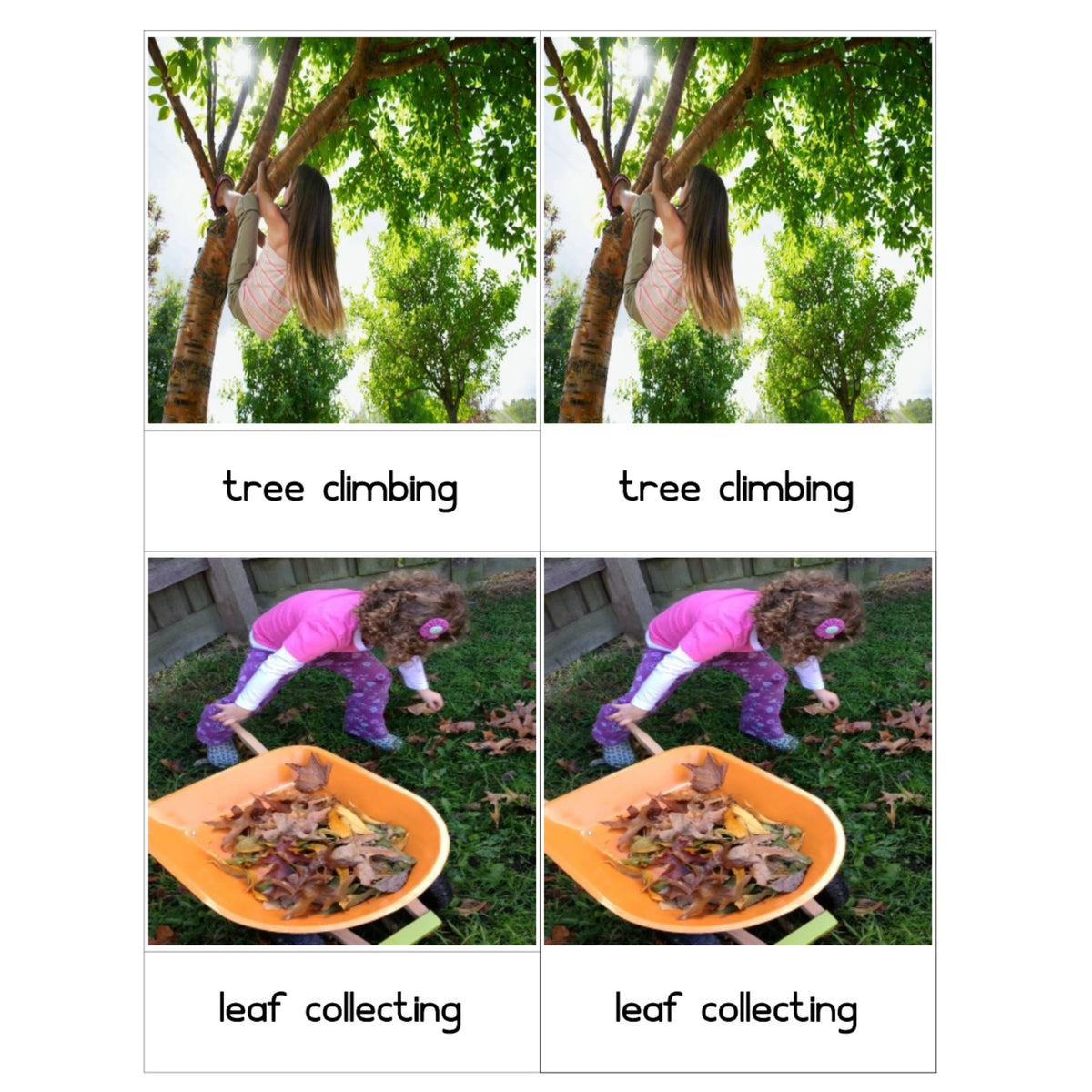 Tree Activities: Three Part Cards