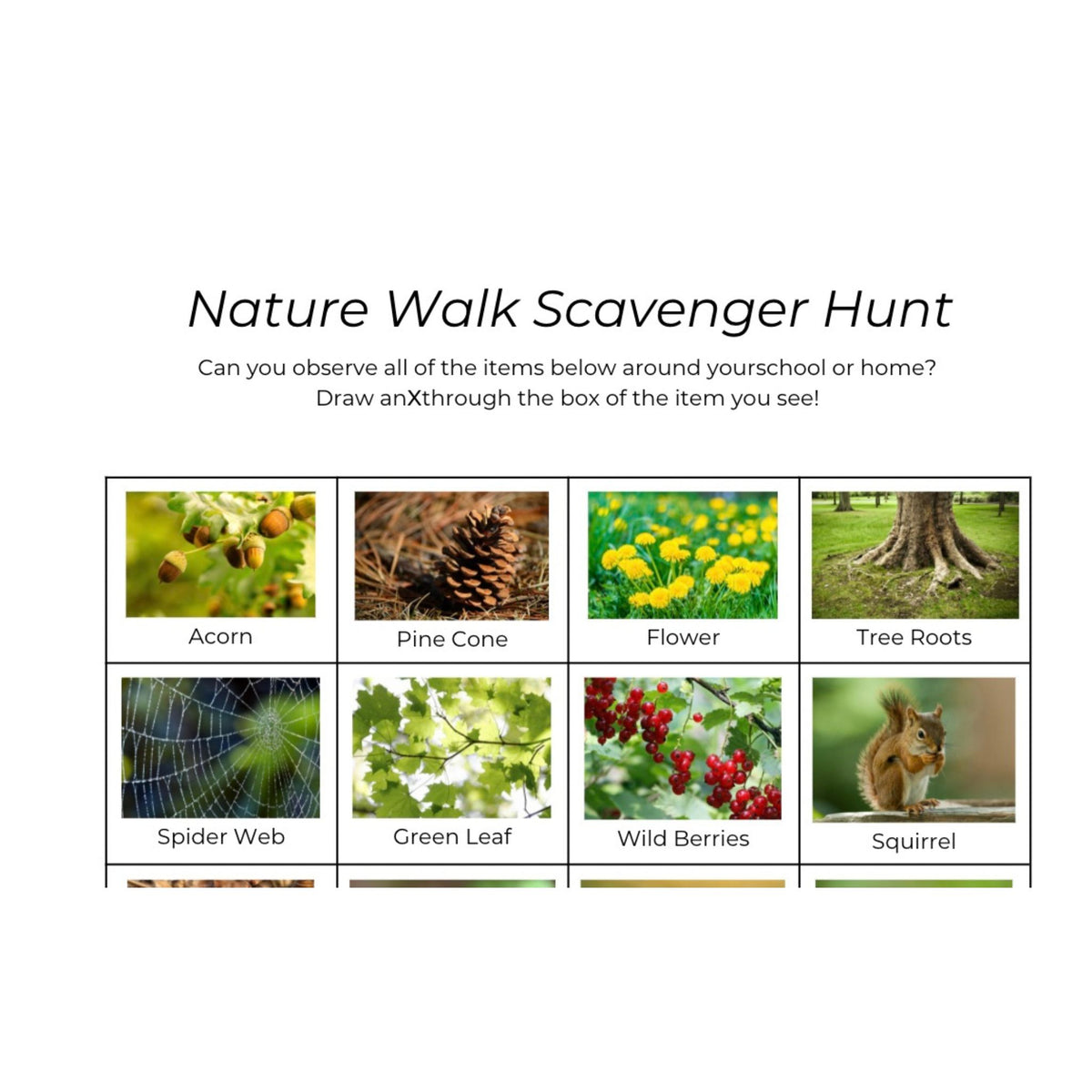 Nature Walk Scavenger Hunt